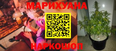 сатива Свободный