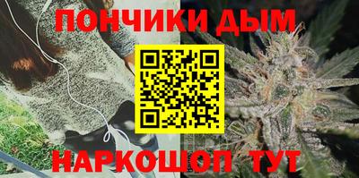 индика Северобайкальск