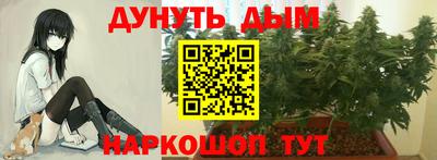 сатива Свободный