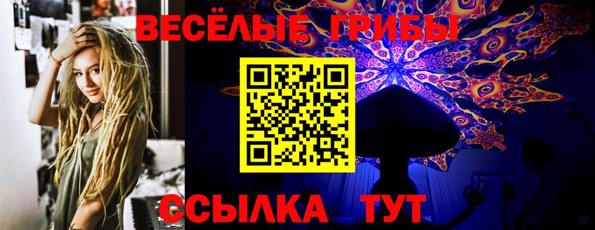 Псилоцибиновые грибы прущие грибы Орёл