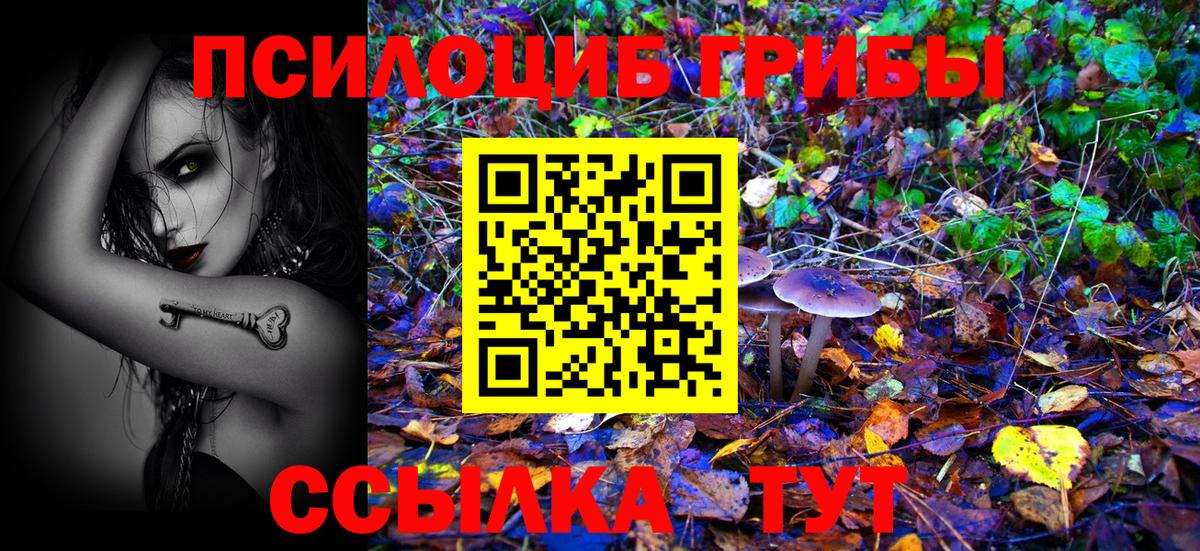 Галлюциногенные грибы прущие грибы  Вход с VPN  Орёл 